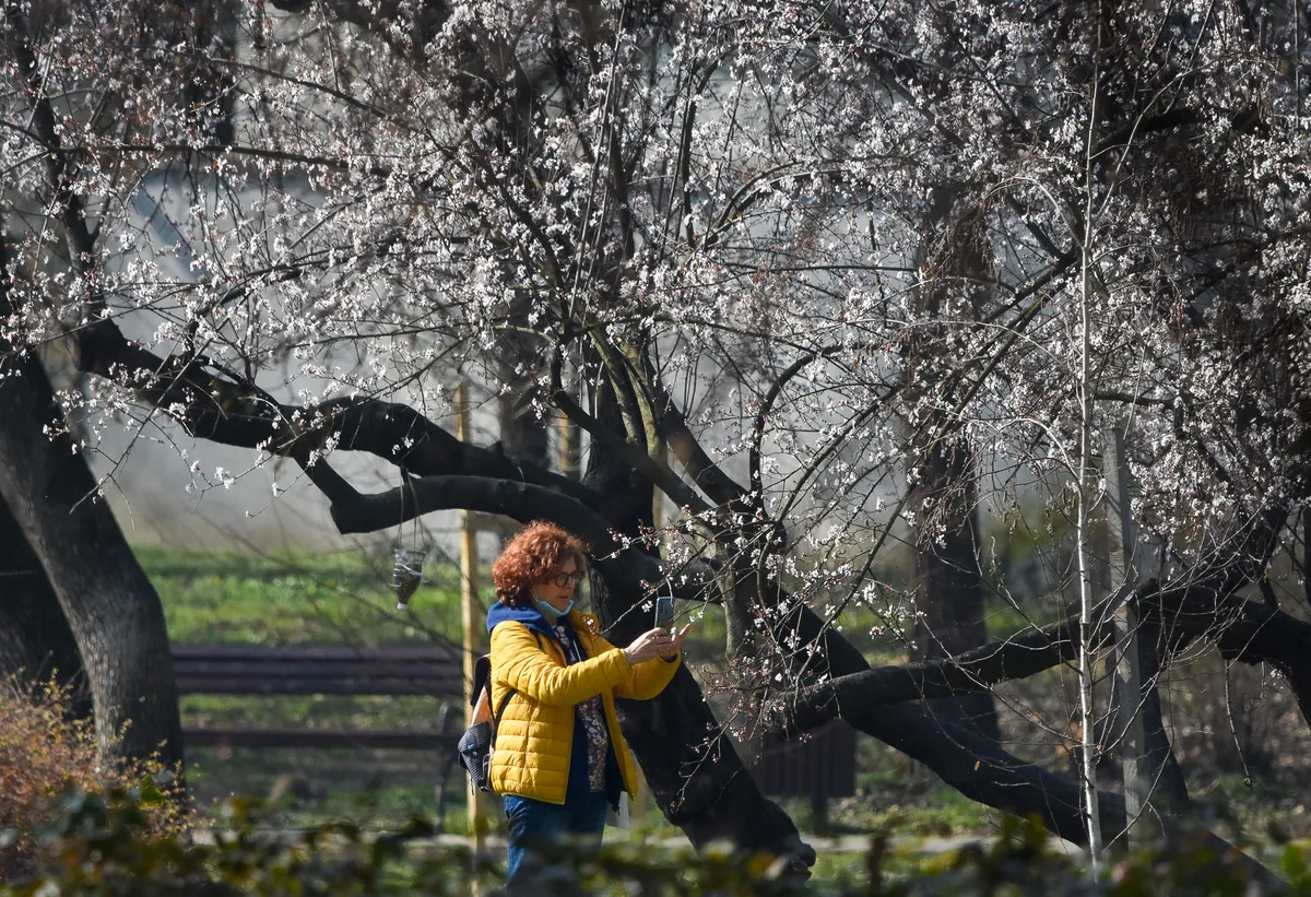 RHMZ je upravo objavio novu prognozu za vikend: Negde sneg, negde +20°С