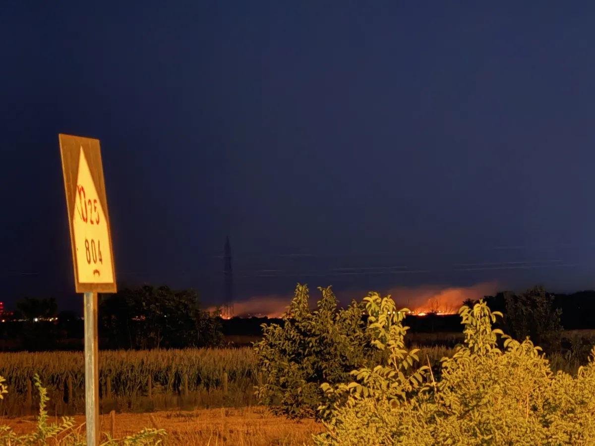 Železnički saobraćaj na pruzi Beograd - Novi Sad obustavljen zbog požara: Vozovi stoje kod Nove Pazove