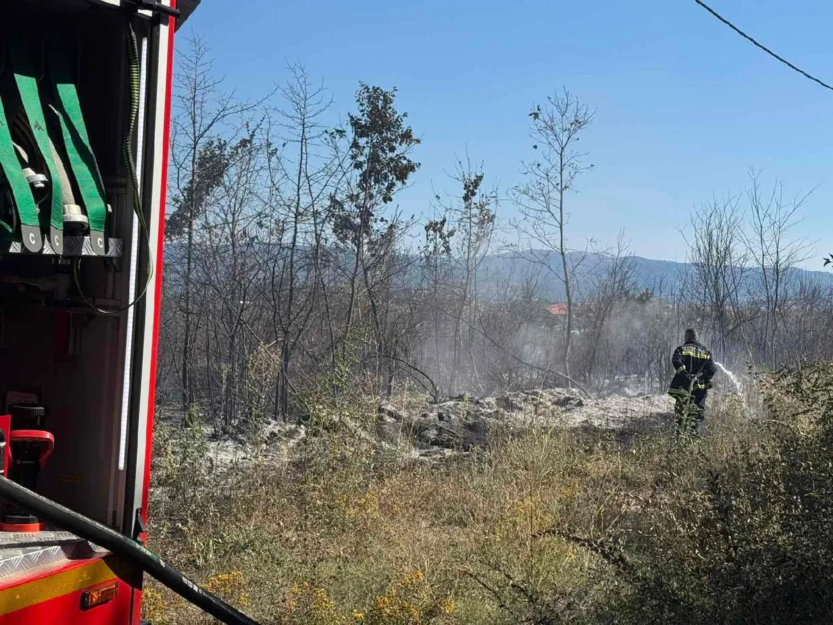 Dramatična situacija kod Kladova zbog požara: Vatrom zahvaćeno 800 hektara, vetar otežava gašenje