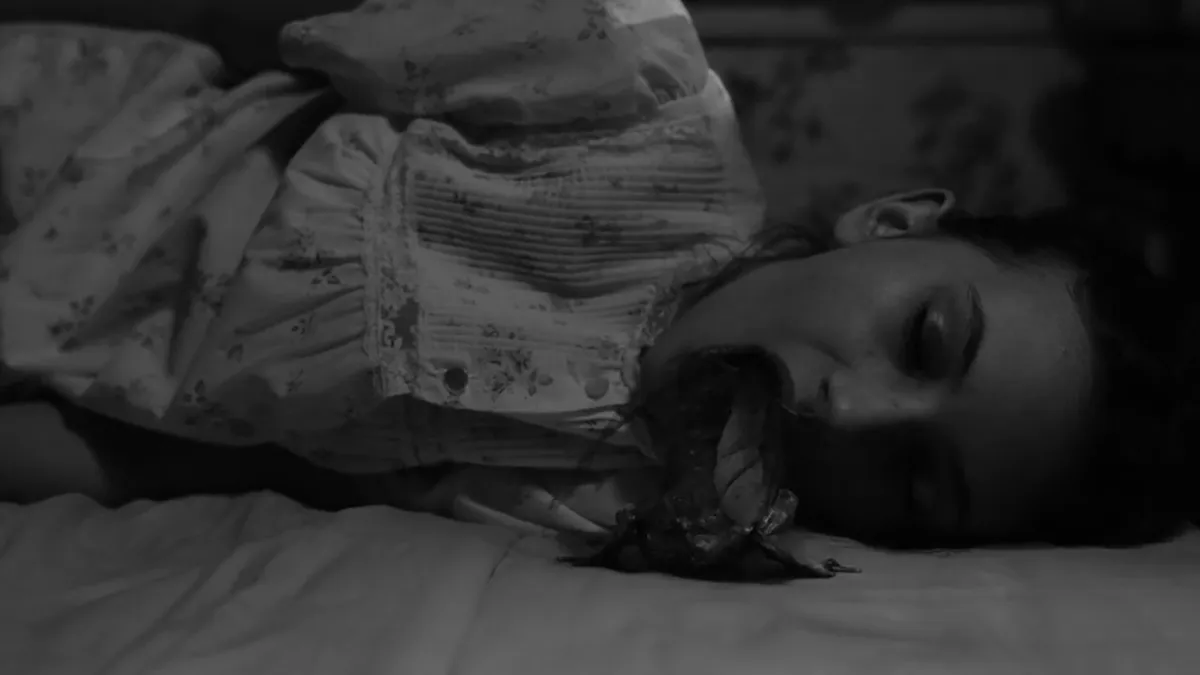 Dejvid Linč je ideju za jednu bizarnu scenu iz serije "Tvin Piks" dobio u Jugoslaviji VIDEO