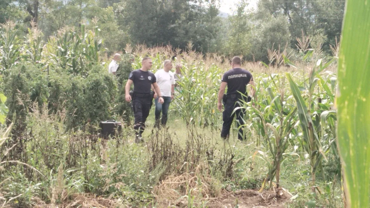 Nastavljeno suđenje Ljubisavu (82) za ubistvo komšije, veštak kategoričan: Puška nije bila naslonjena na grudi ubijenog