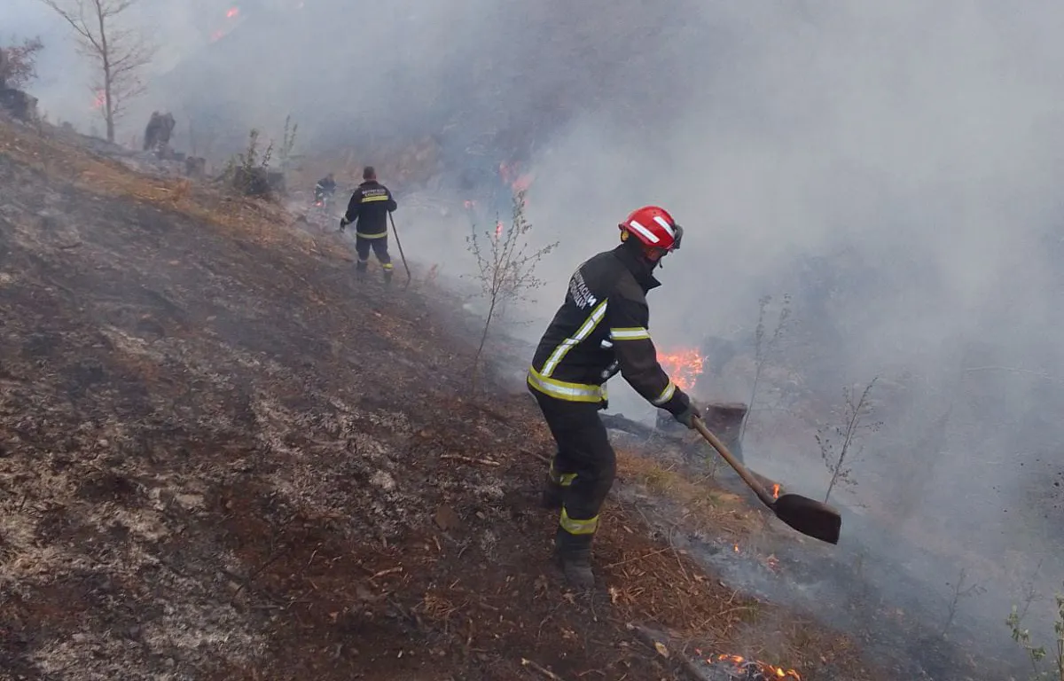 Severna Makedonija u plamenu: Za samo 24 sata izbila 23 požara