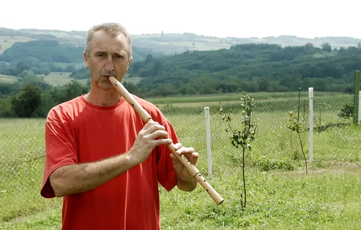 Frulaš iz Kneza otišao u zatvor: Umesto 10 ostajem 5 dana - nova.rs