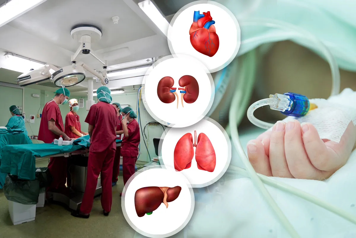 Urađena prva transplantacija pluća u Srbiji