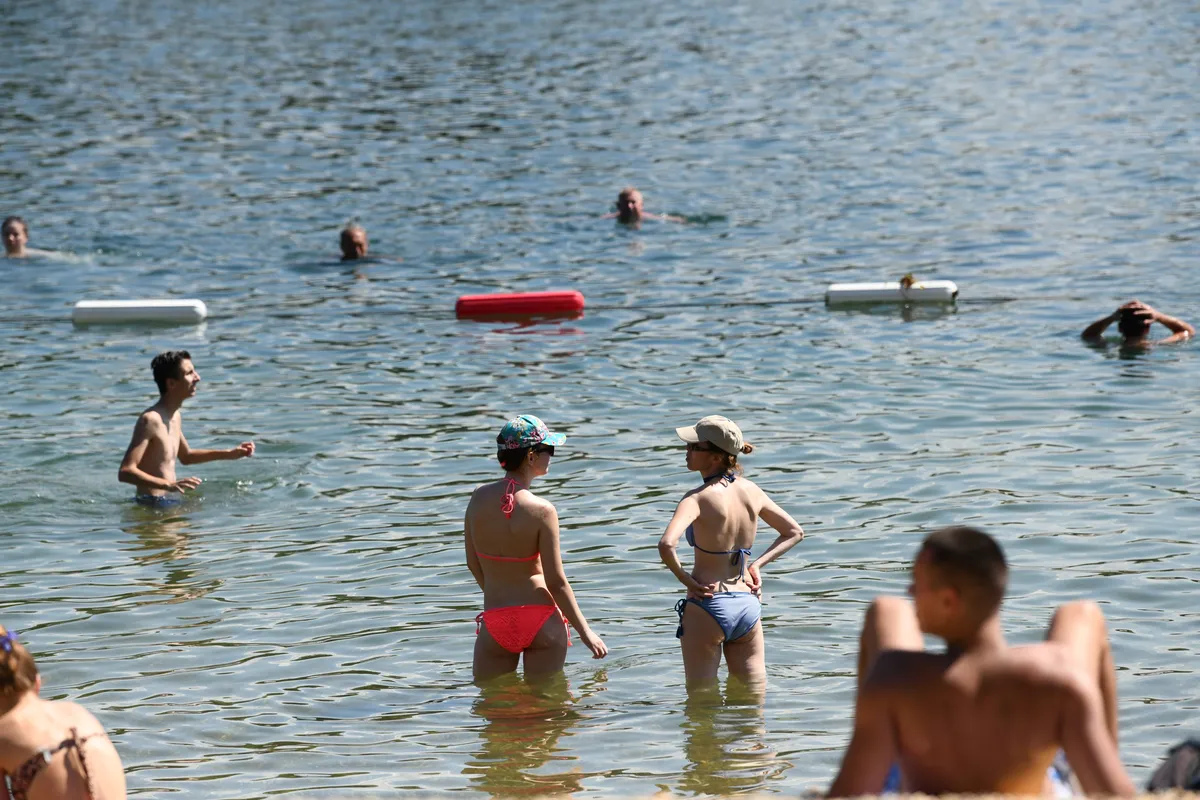 Meduze preplavile Savsko jezero, a kad čujete odakle su tu došle - biće vam još čudnije