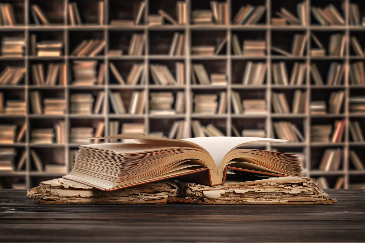 Književna olimpijada s ukusom rokenrola: Predstavljamo program festivala 