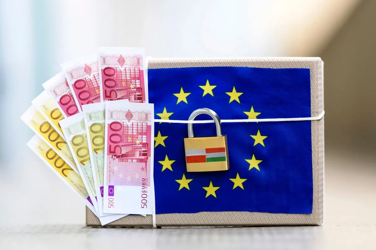 Infrastruktura, energetika, bolnice, škole... Donosimo spisak oblasti u kojima će se najviše osetiti gubitak novca iz EU fondova