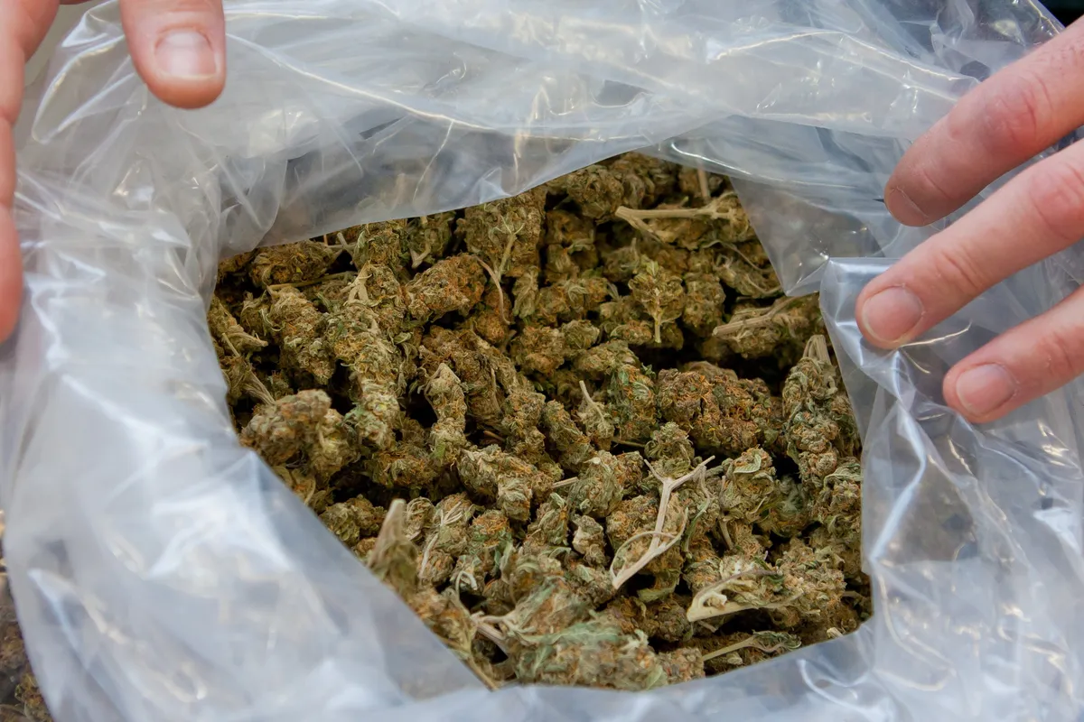 Uhapšene dve osobe u Novom Sadu: Policija zaplenila 4,8 kilo