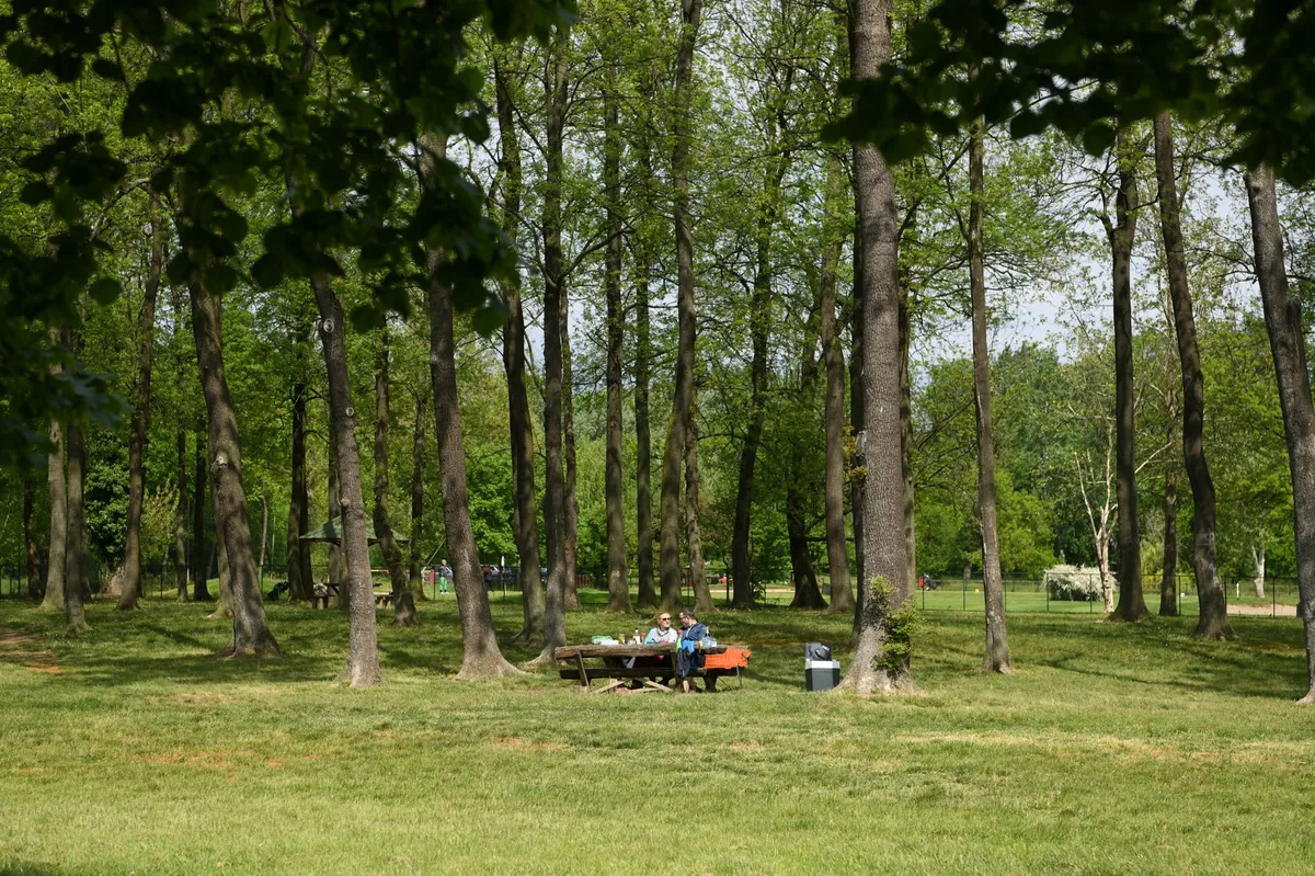 Posečeno rastinje na Adi Ciganliji gde je planirano postavljanje panoramskog balona