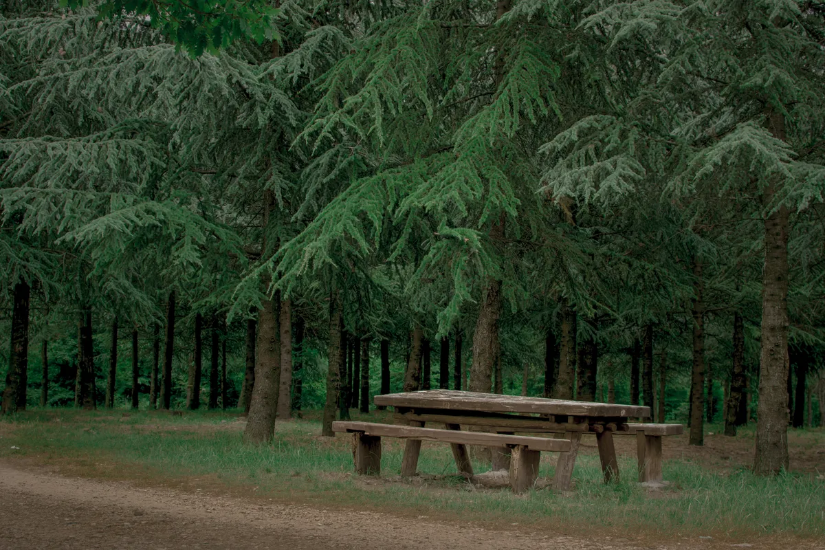 Ministarstvo rudarstva i energetike: Neće biti odobren zahtev za geološka istraživanja na području Avala-Kosmaj