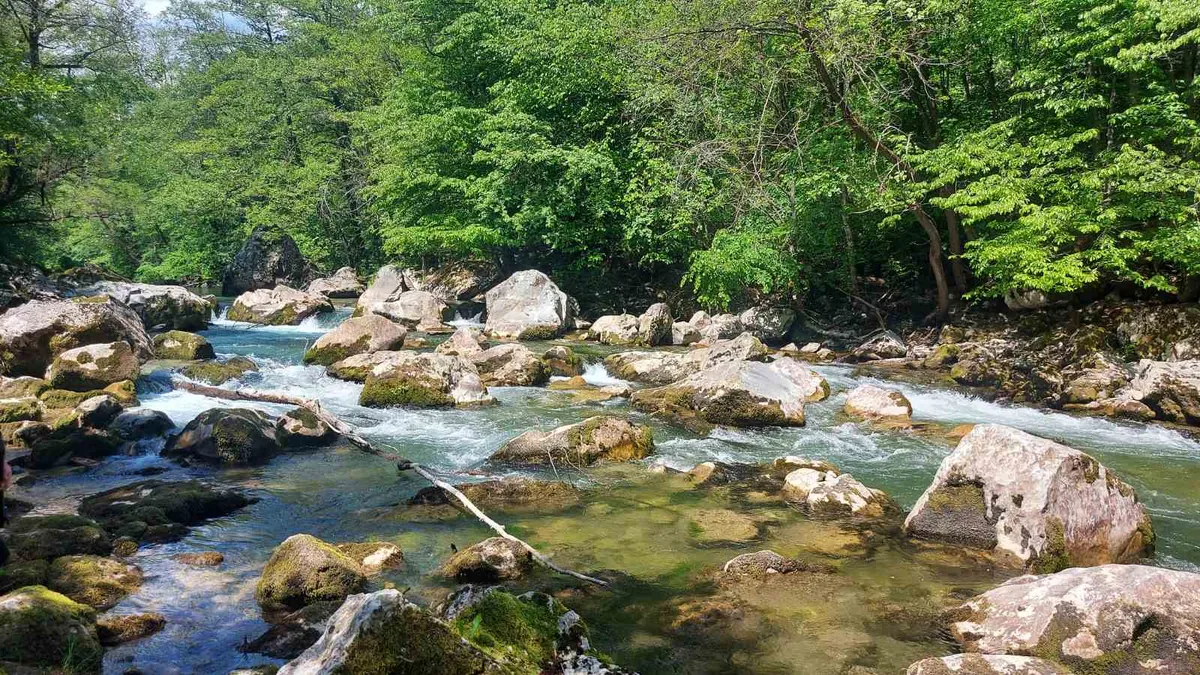 Srbija dobija novi specijalni rezervat prirode: Jedna od poslednjih ...