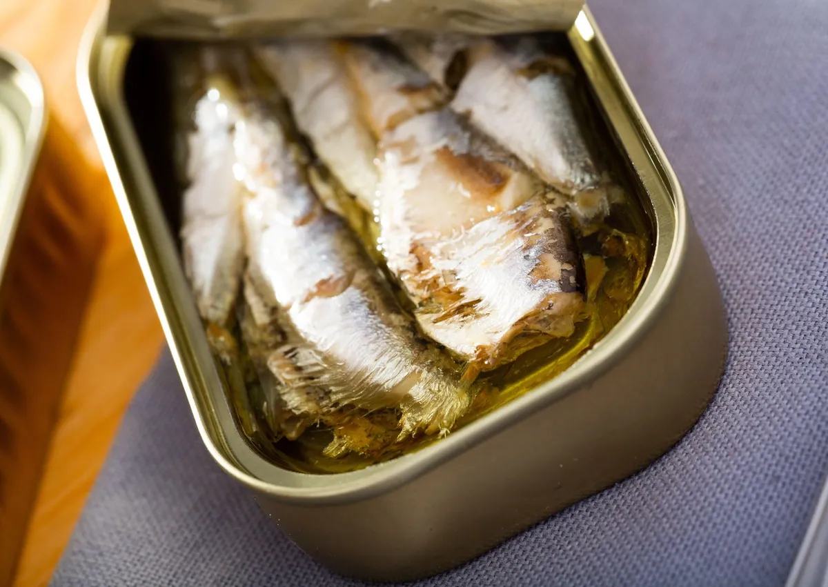 Kardiolog otkriva šta se dešava sa srcem ako jedete sardine iz konzerve: Odgovor je iznenađujuć