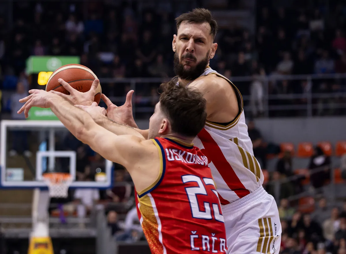 "Mi imamo svoj put sa mladim igračima iz Čačka": Trener Borca pričao o ključnom problemu sa faulovima posle poraza od Zvezde Kép