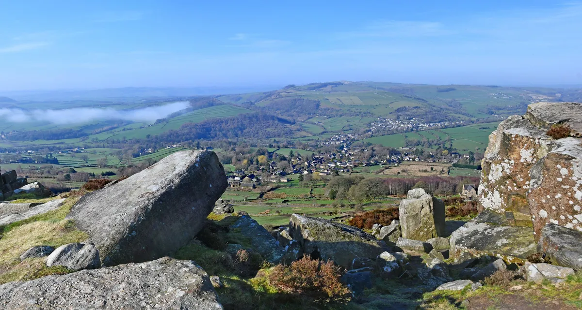Ismevali studenta koji je svaki dan gledao kamen u šumi: Kada su stigli arheolozi, svi su ostali u šoku