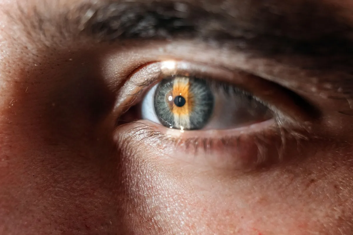 Ljudi ipak imaju "treće oko"? Novo istraživanje došlo do neobičnog zaključka o našem drevnom pretku