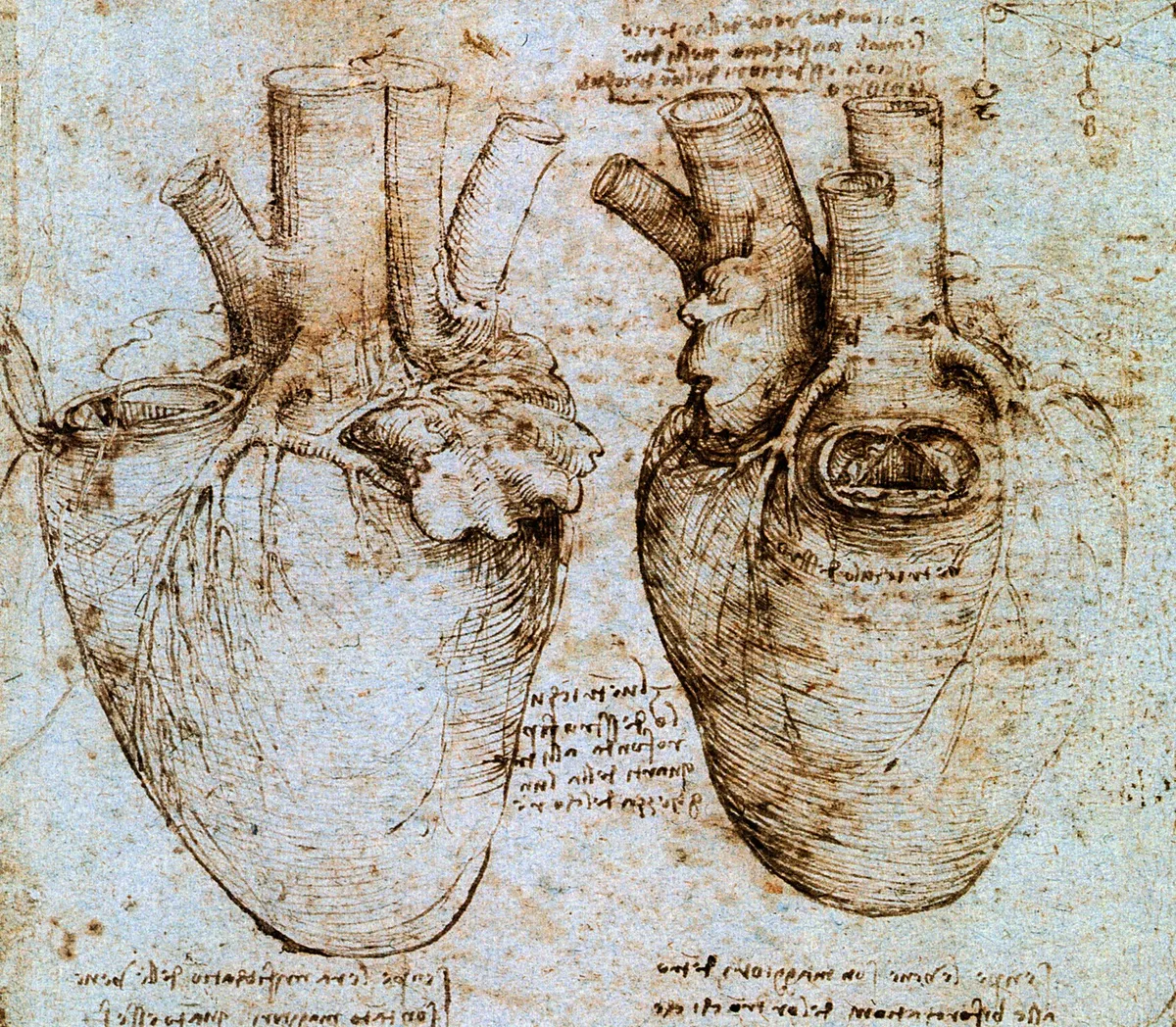 500 godina kasnije, otkrivena tajna srca koju je Leonardo prvi nacrtao: Ova skrivena struktura u organu može da otkrije rizik od bolesti