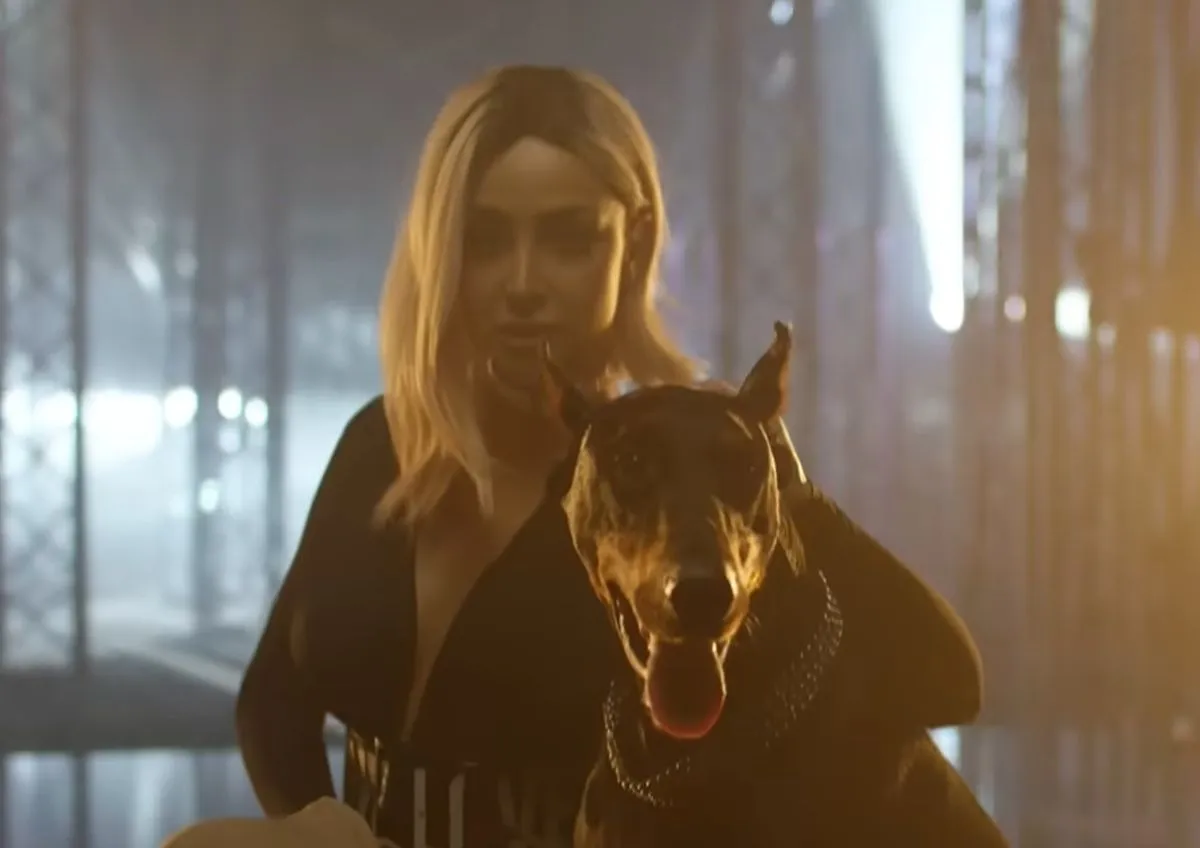 Pas skočio na Maju Berović, ekipa odmah zaustavila snimanje: Haos na setu, pogledajte njenu reakciju (VIDEO)