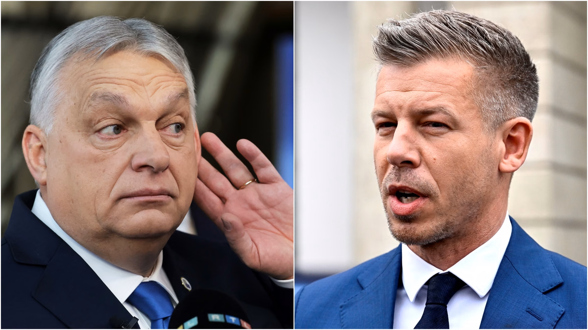 1777285378_orban_madjar.format-avif.width-1200.avif
