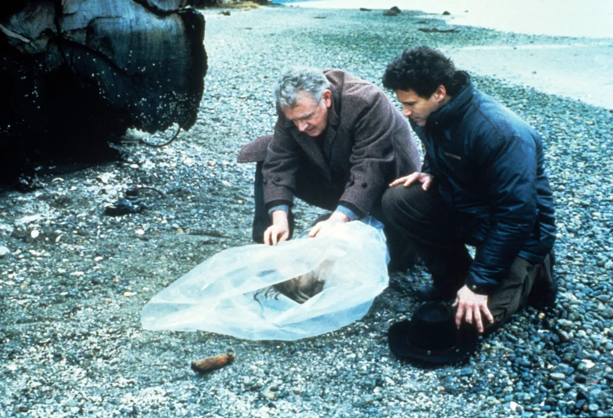 Ubistvo koje je bilo inspiracija za seriju "Tvin Piks": Ovaj zločin je i danas misterija