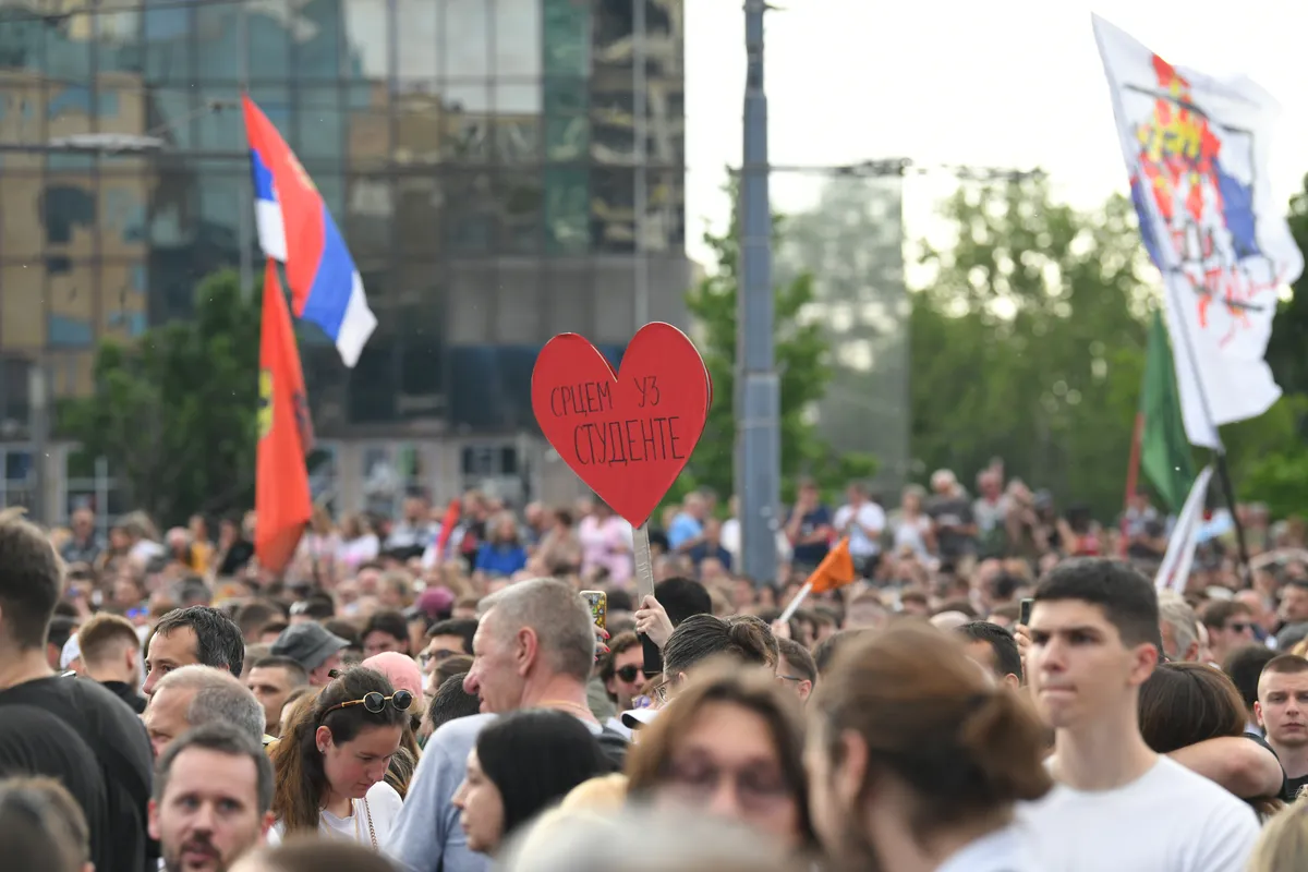 Studenti pozvali na protest zbog bilborda na Palati Albanija koji ugrožava mladunce bele čiope