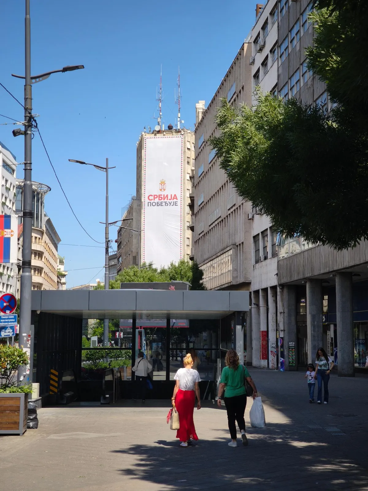 Stručnjaci Zavoda za zaštitu prirode nahranili jedan broj ptića belih čiopa zarobljenih iza bilborda na Palati Albanija