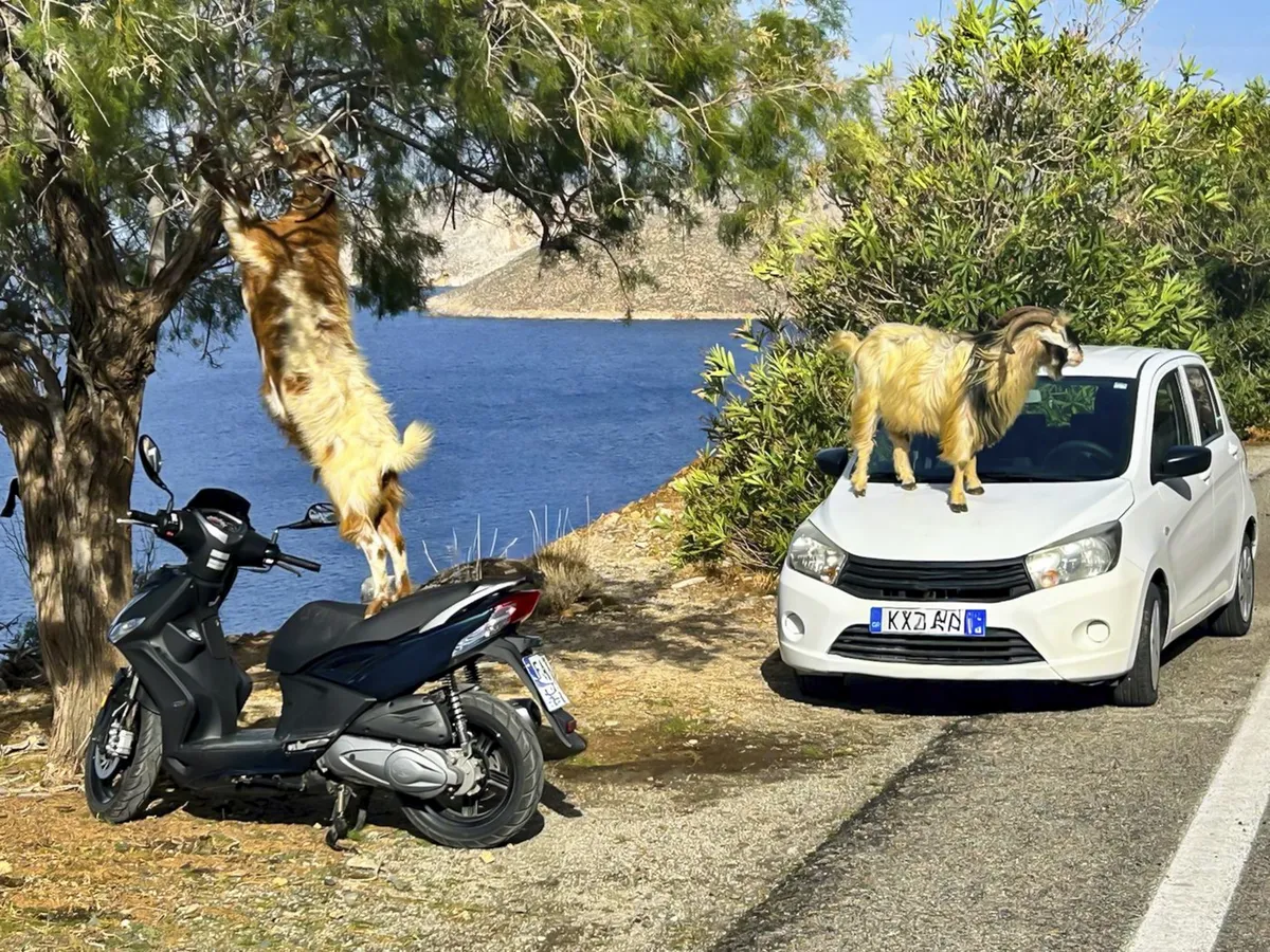Srpski turisti u Grčkoj najčešće prave ove prekršaje, a nisu ni svesni - dok im ne naplate kaznu