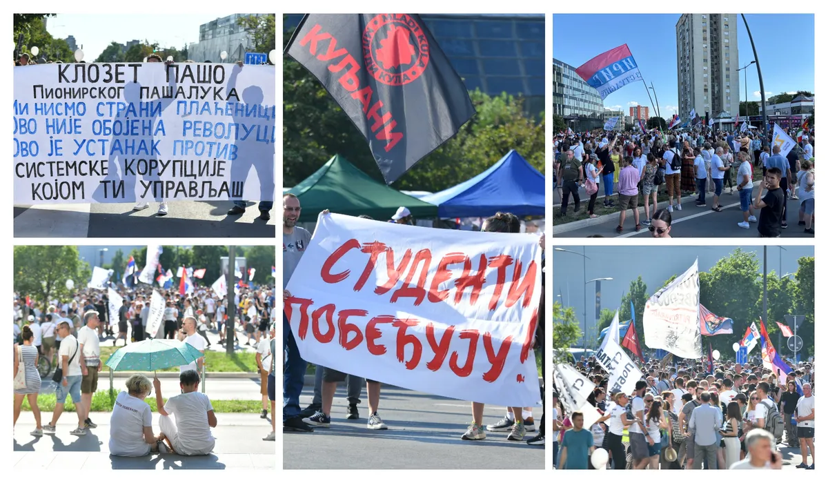 FOTO, VIDEO "Mrtve duše glasaju u Srbiji, dok se živima oduzima to pravo": Profesorka za kraj skupa u Novom Sadu pozvala sve da izađu na izbore