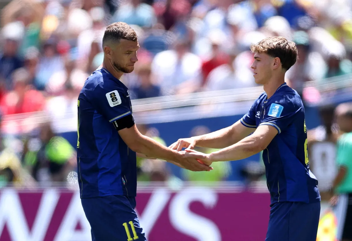 VIDEO Džeko besneo na klupi BiH: Bacio flašicu, pogledajte napete scene