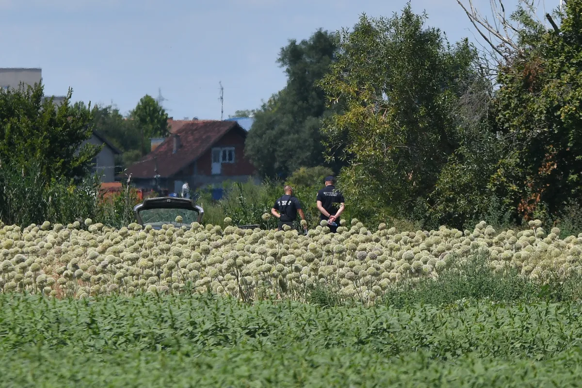 Identifikovane dve od tri žrtve saobraćajne nesreće u Novom Sadu