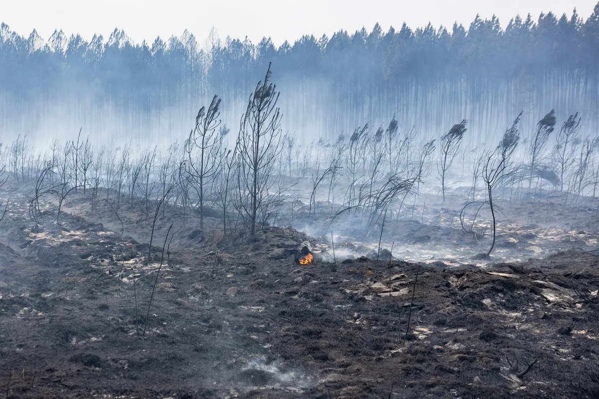 FOTO Pakleni talas ponovo raspiruje vatru: Francuska prazni obalu pred novom opasnošću