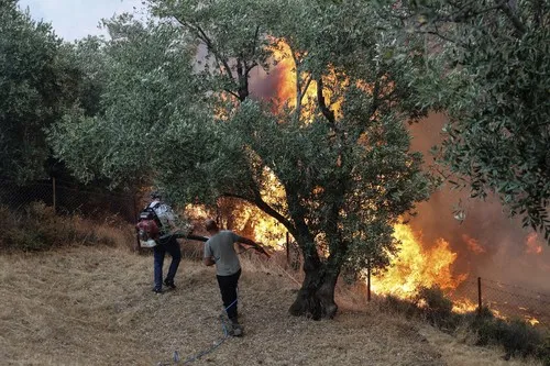 FOTO VIDEO Gori Grčka: Ima mrtvih, 8.000 ljudi evakuisano, požar na Kritu van kontrole