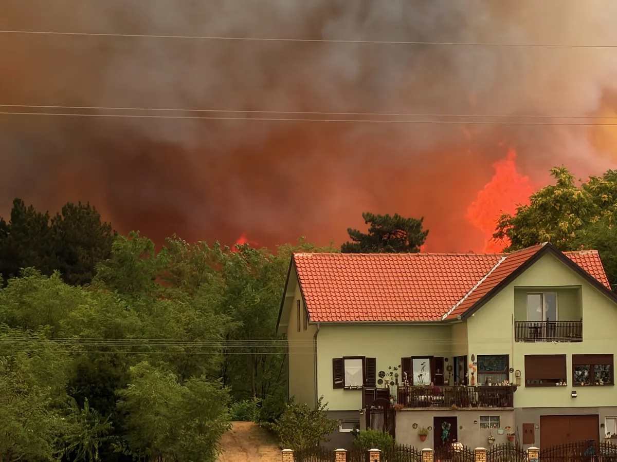 "Čovek je pustio svu stoku napolje, a onda sedeo satima i gledao u vatru, nije znao da li mu je izgorela kuća": Potresne scene nakon to je požar opustošio Deliblatsku peščaru