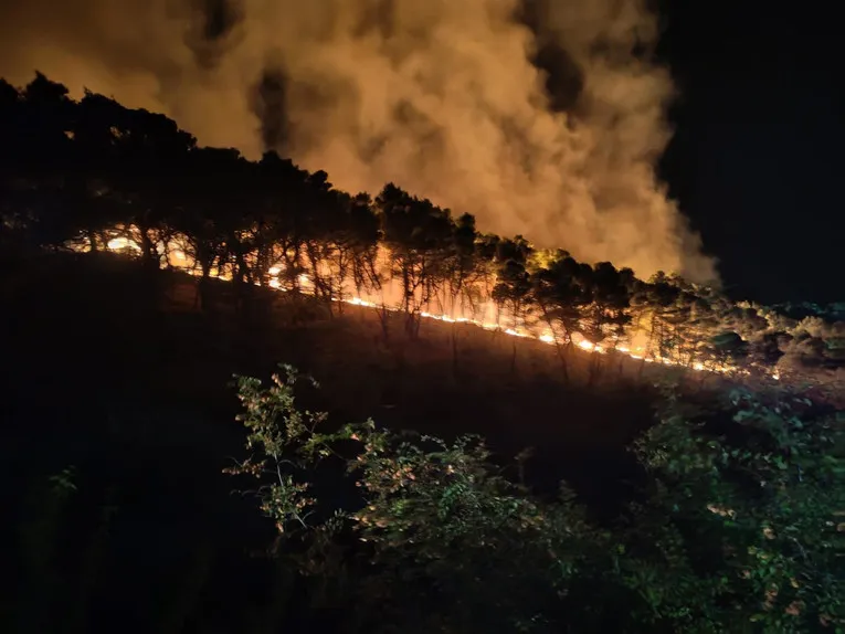 VIDEO Veliki požari u Hrvatskoj: Vatra zahvatila šumu, brzo se širi, kanaderi nad Bračem