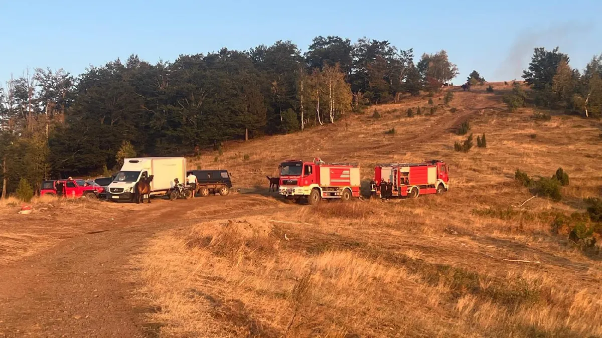 Požar na Stolovima pod kontrolom, u Deliblatskoj peščari stabilno, ali vetar i dalje predstavlja pretnju
