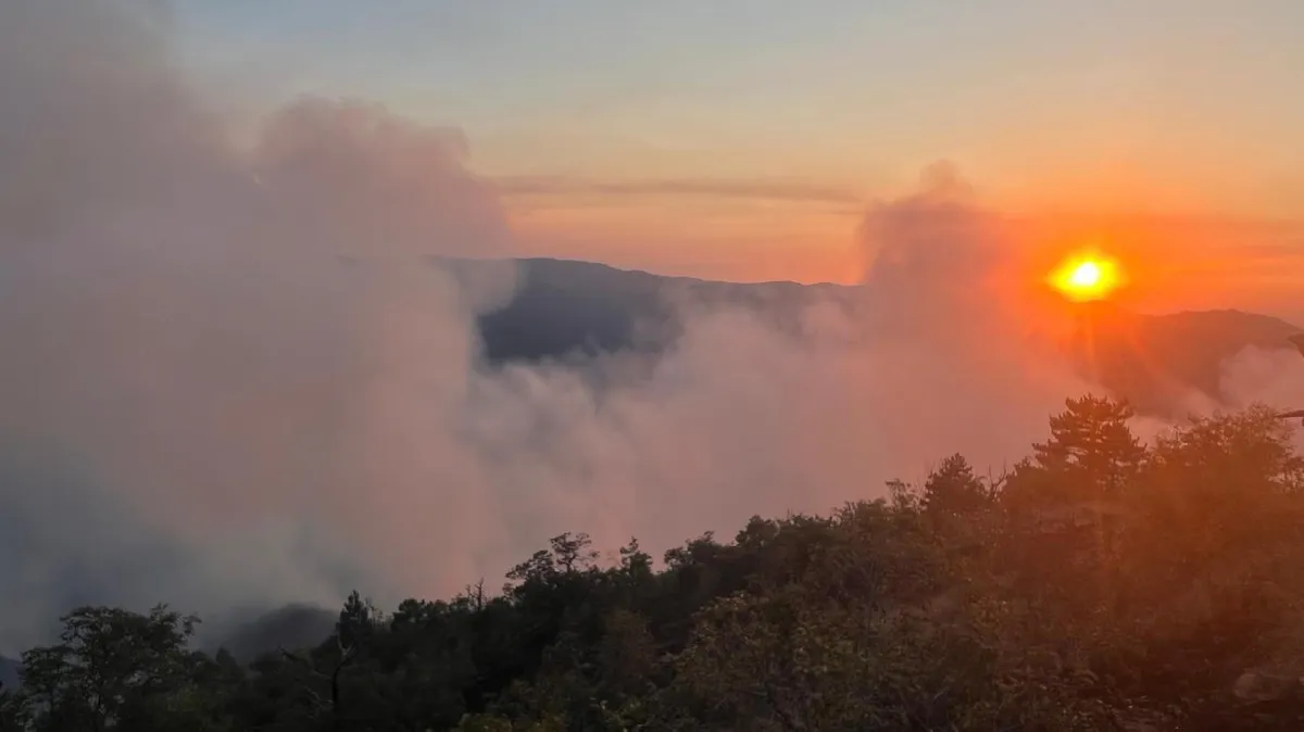 Lokalizovani požari na Stolovima i Goču: Trenutno aktivno 20 požara u Srbiji, angažovano više od 400 ljudi