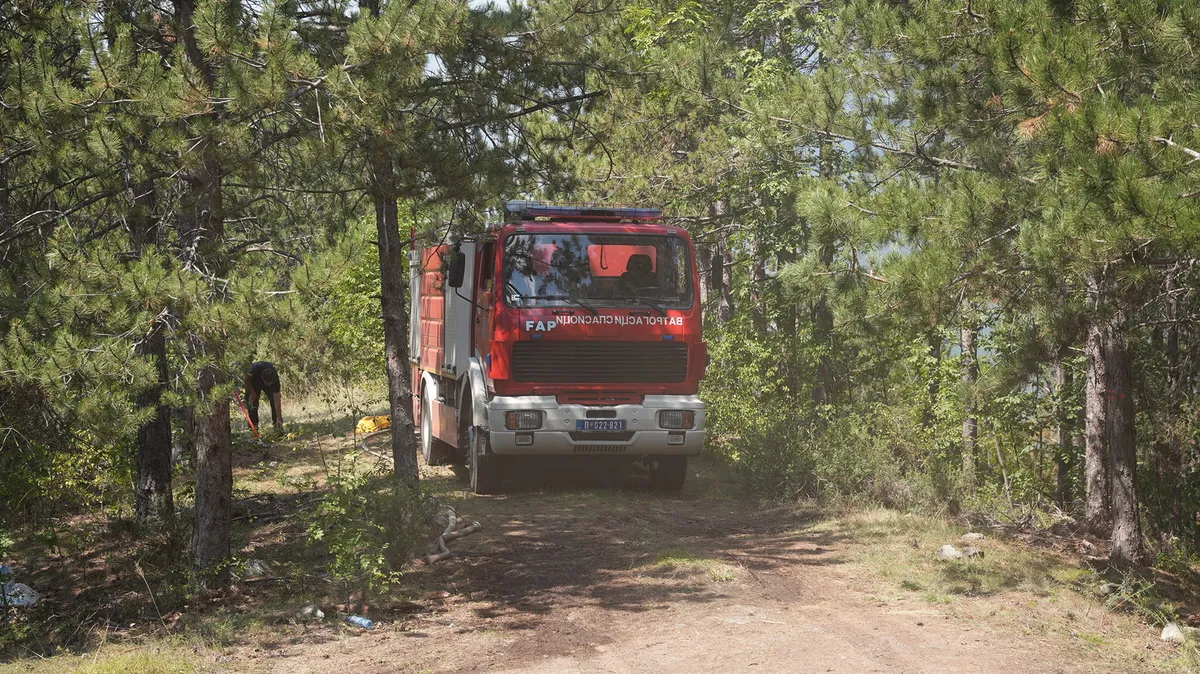 Veliki požar kod Niša: Vatra zahvatila veću površinu na ataru