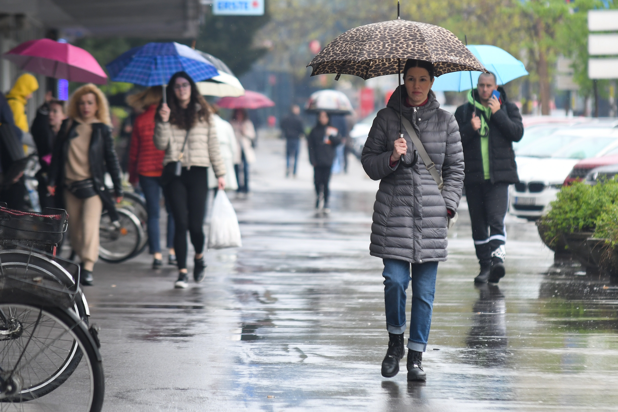 Novi Sad_kisa kisni dan foto Nenad Mihajlovic _-5