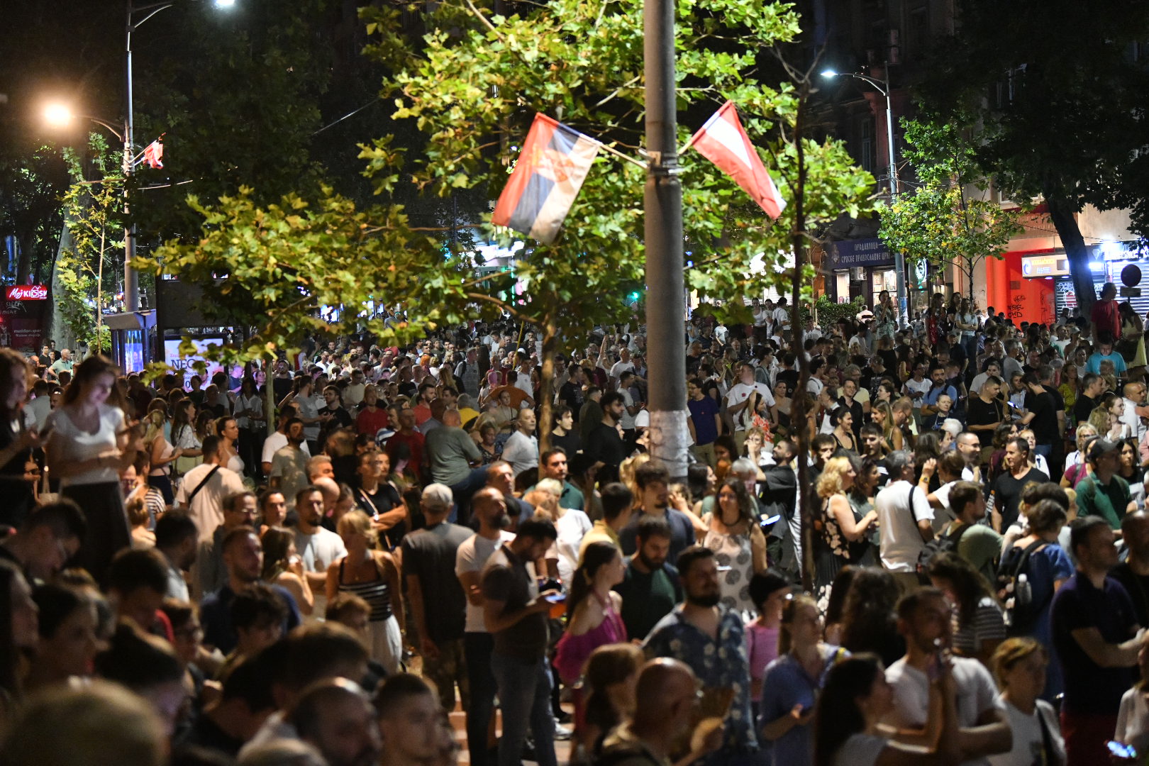 Protest „Srbijo, probudi se“