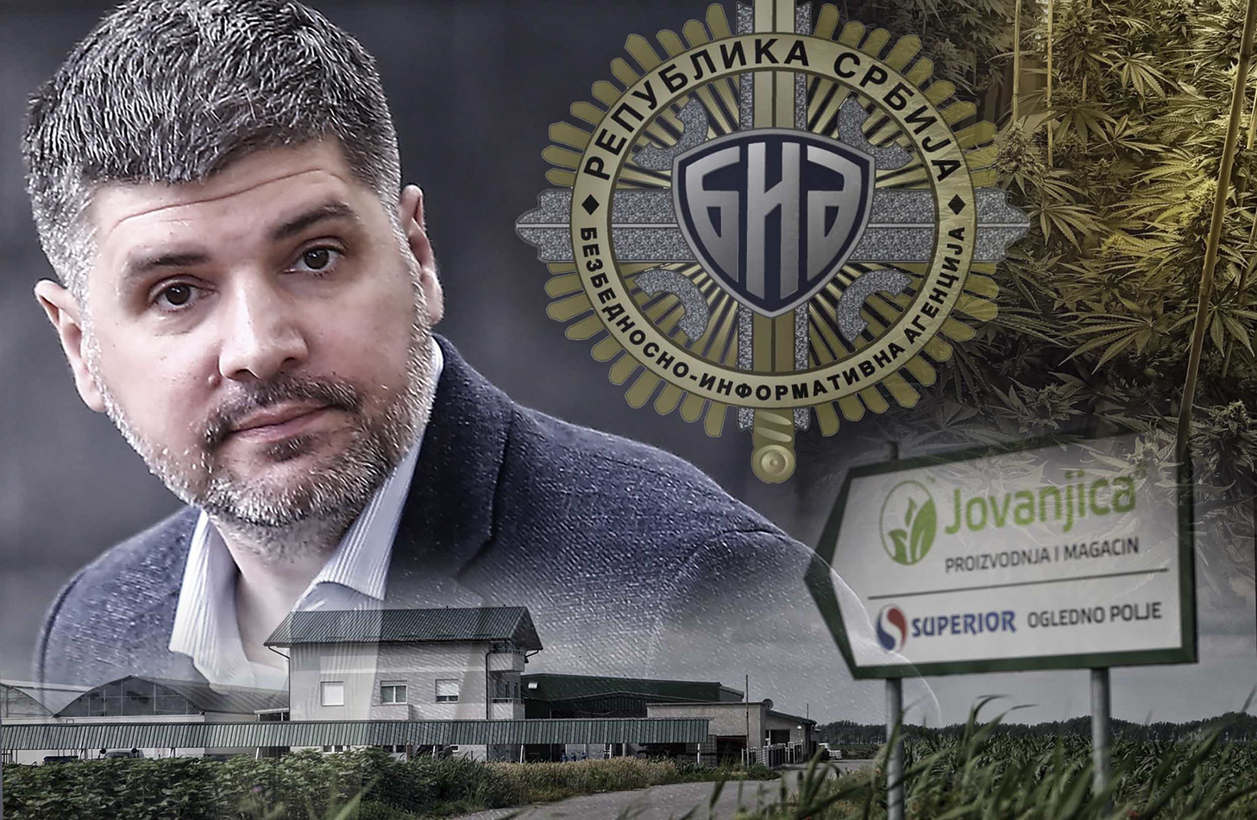 The trial of Predrag Koluvija and co-defendants for the organization of the largest marijuana farm in Europe - Jovanjica - continued before the Department for Organized Crime of the High Court in Belgrade.Pred Odeljenjem za organizovani kriminal Viseg s