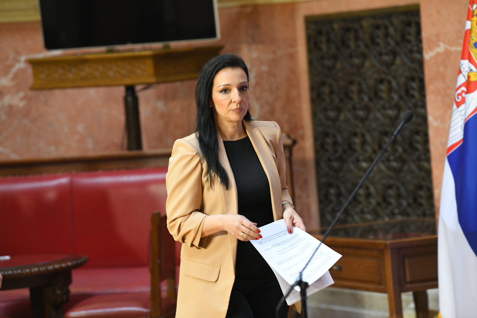 Beograd 25.02.2025. Marinika Tepić, SSP, konferencija za novinare u Skupštini Srbije,  kzn, kzš, obraćanje, Stranka slobode i pravde Foto: Amir Hamzagić/Nova.rs