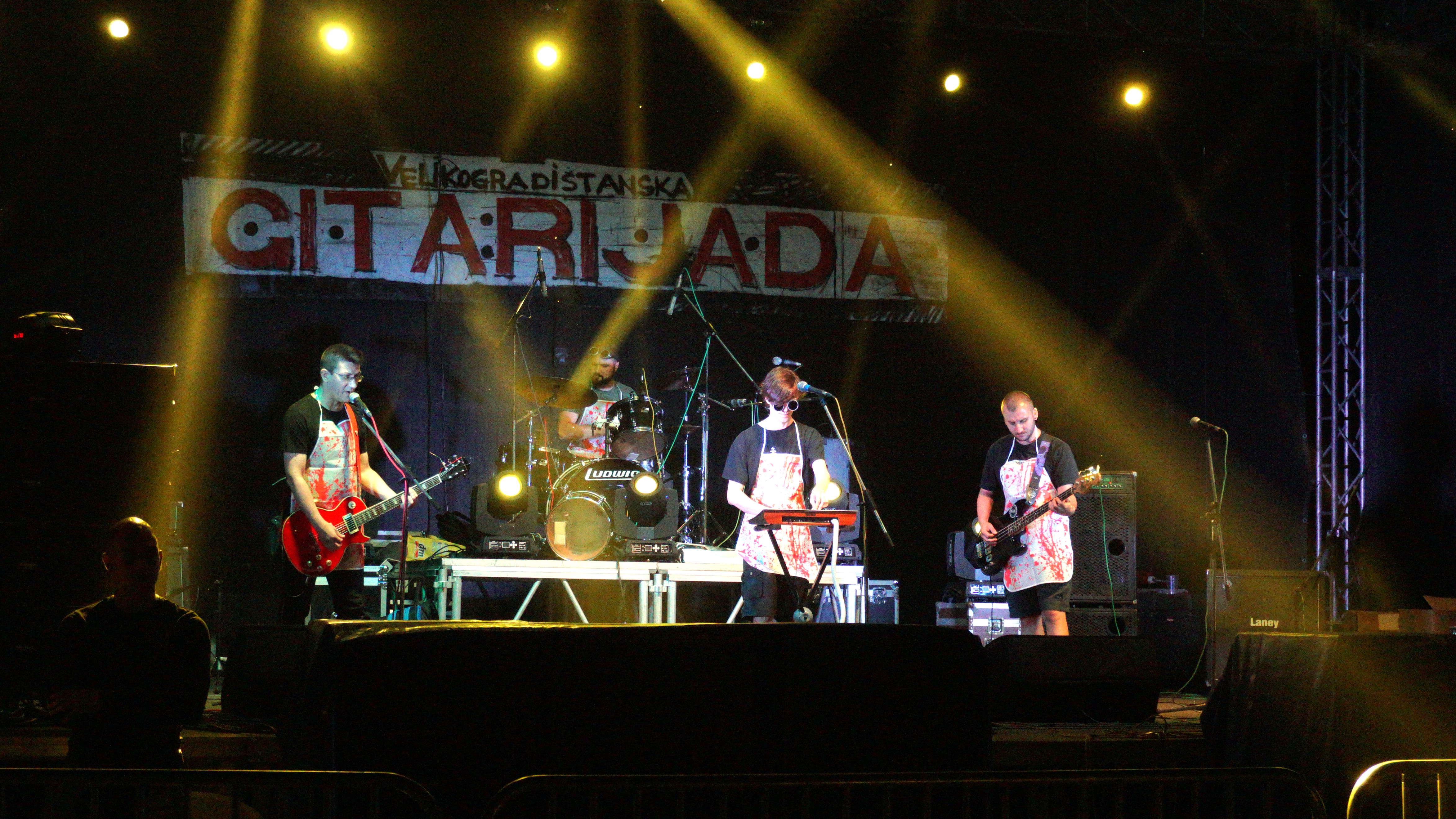 Velikogradištanska gitarijada ilustracija - autorka Sanja Đorđević (2)