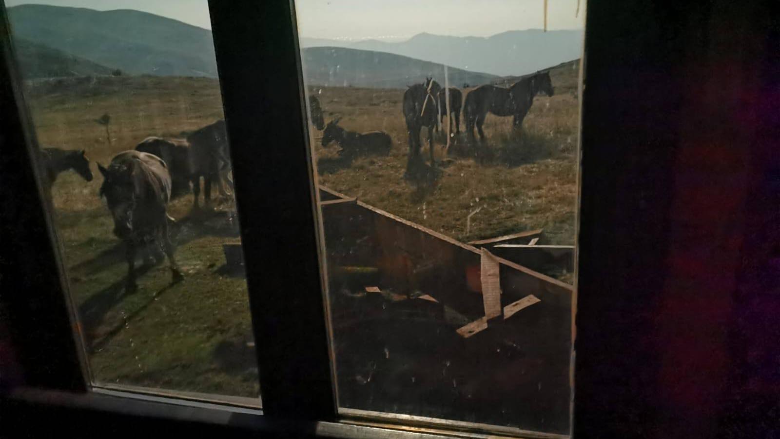 543425401_1211538244345547_5213565869450420534_n