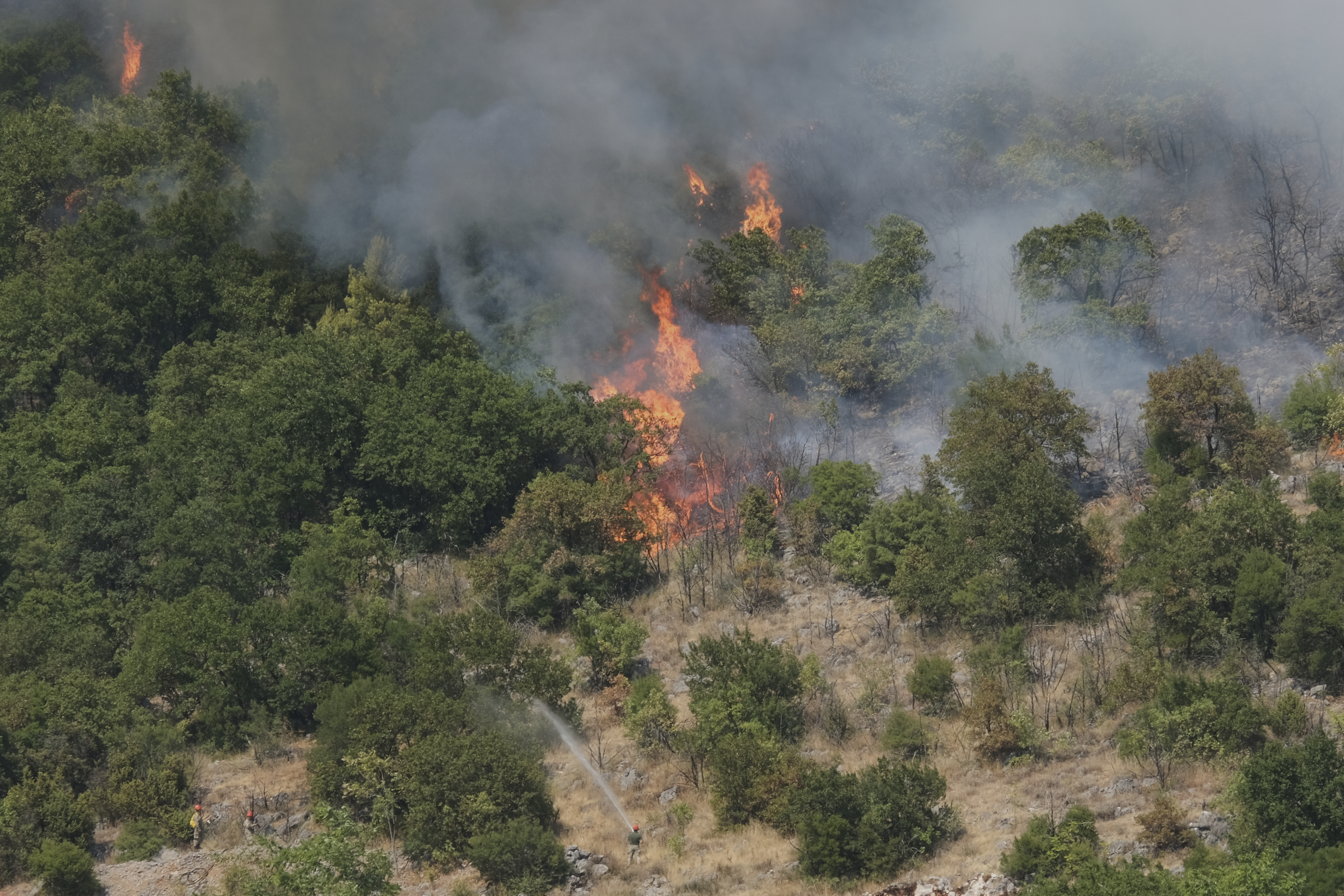 Montenegro Wildfires