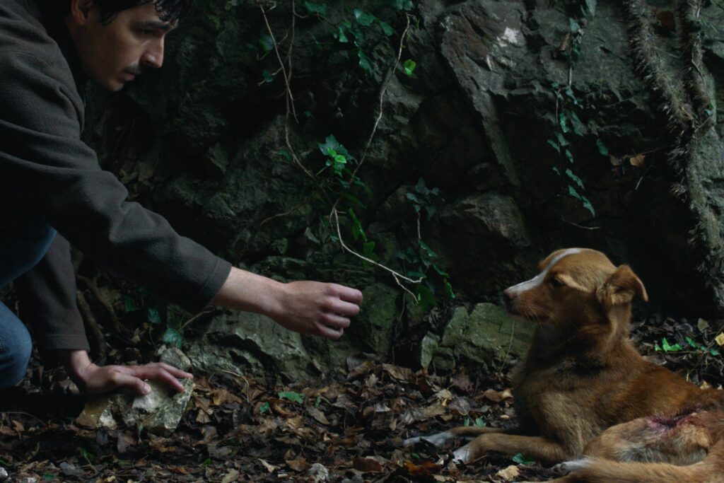 Svetska premijera filma „Vetre, pričaj sa mnom“ Stefana Đorđevića