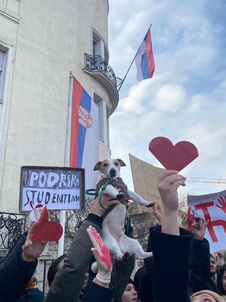 Podrška studentima Budimpešta, poslala Nataša Latković
