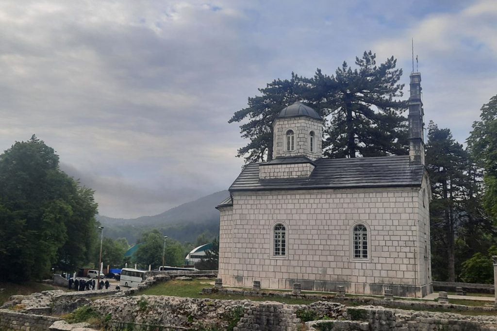 ustolicenje mitropolita Joanikija na Cetinju, policija
