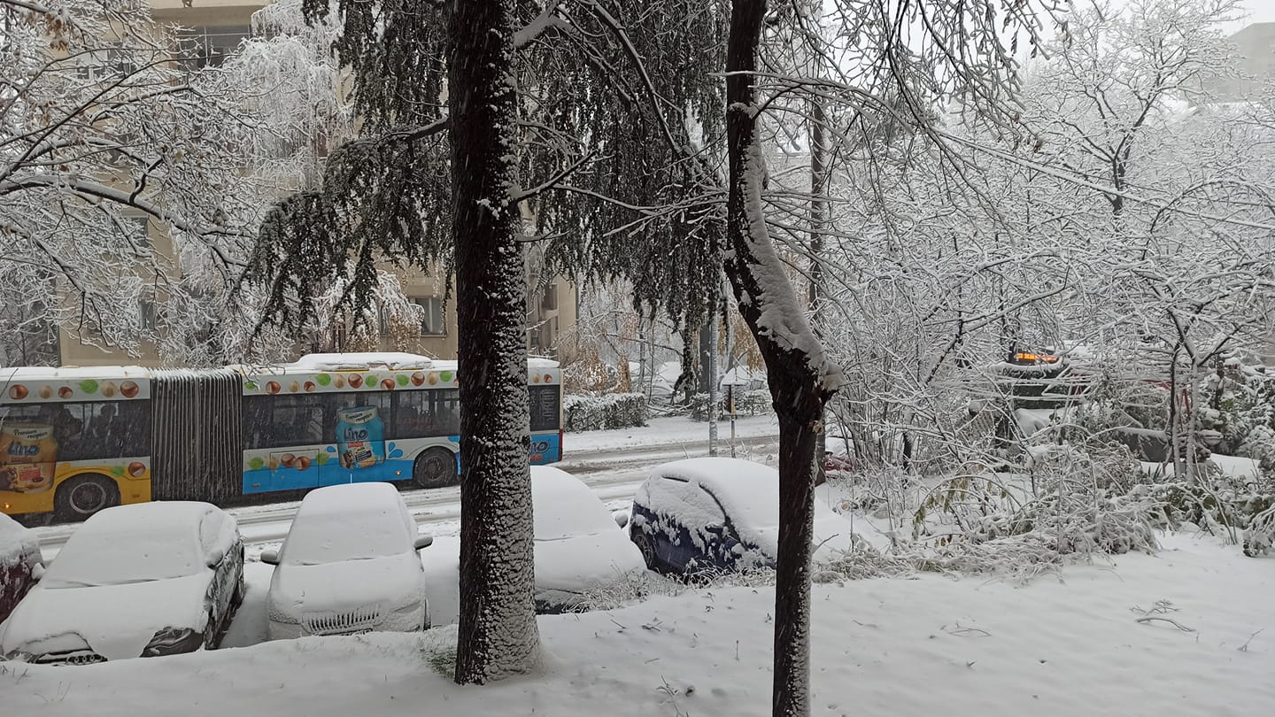 Blagoja Parovica ka Vidikovcu - Ljubinka Buba Drobnjak Pejcic
