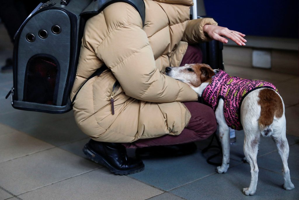A woman comforts a dog as they rest at the train station after fleeing Russia's invasion of Ukraine, in Zahony, Hungary March 3, 2022. REUTERS/Bernadett Szabo