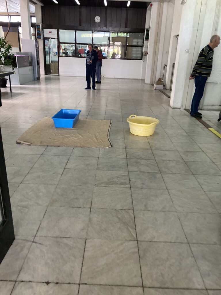 Gerontološki centar Beograd, Bežanijska kosa Foto: Privatna arhiva