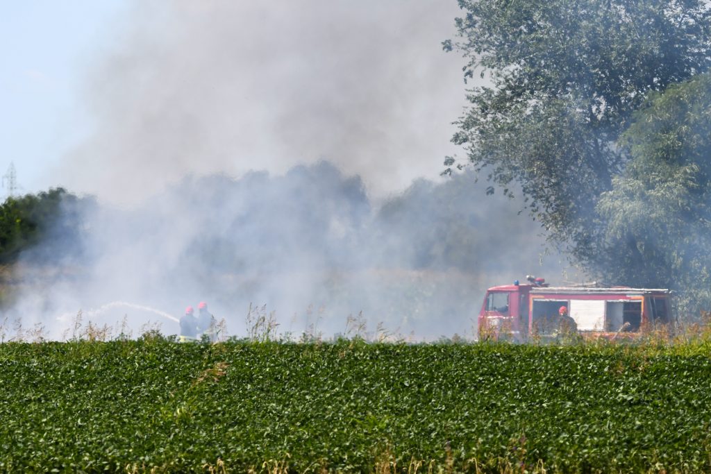 1657724008-Novi-Sad085-pozar-kod-Kaca-foto-Nenad-Mihajlovic-1024x683.jpg